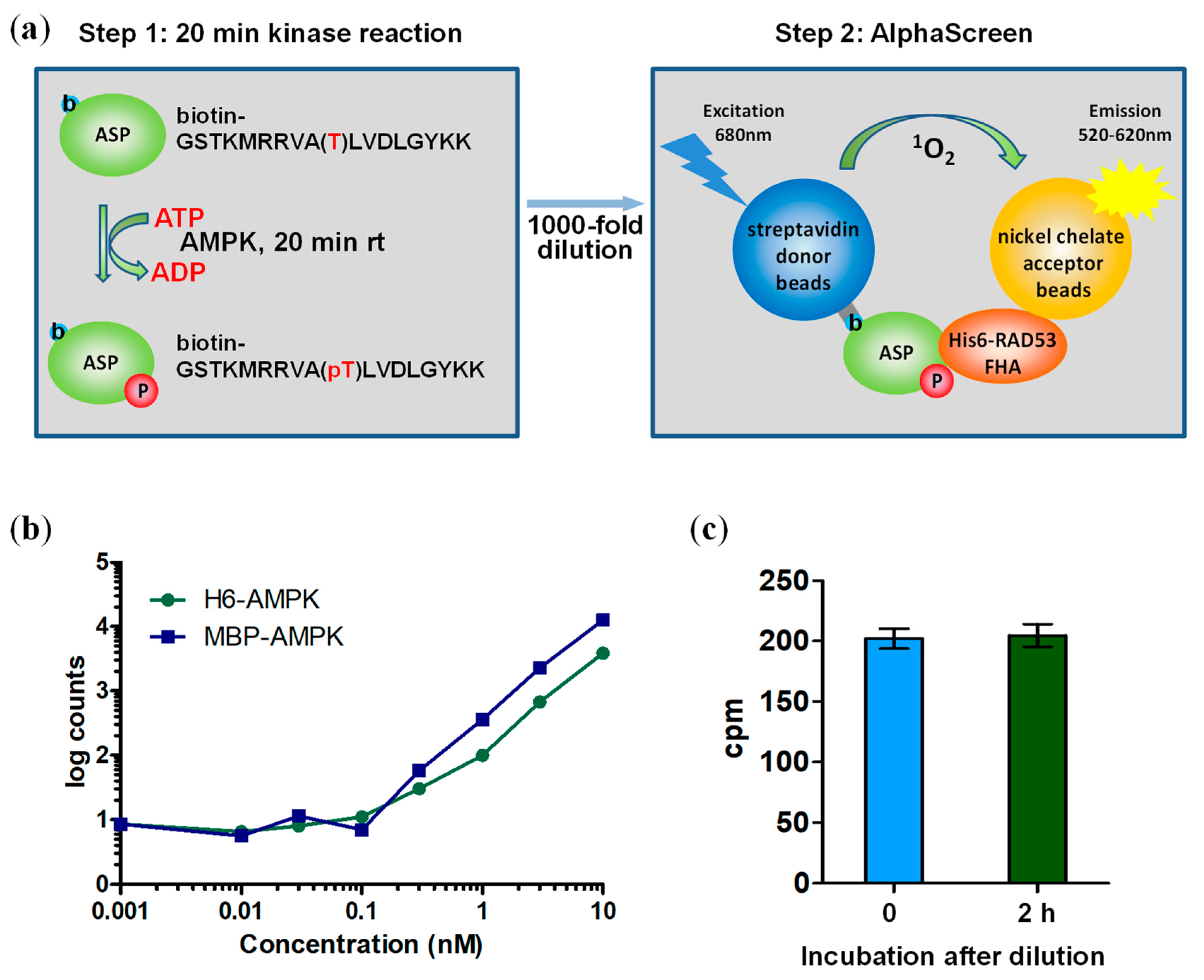 MPs Free FullText A Highly Sensitive NonRadioactive Activity