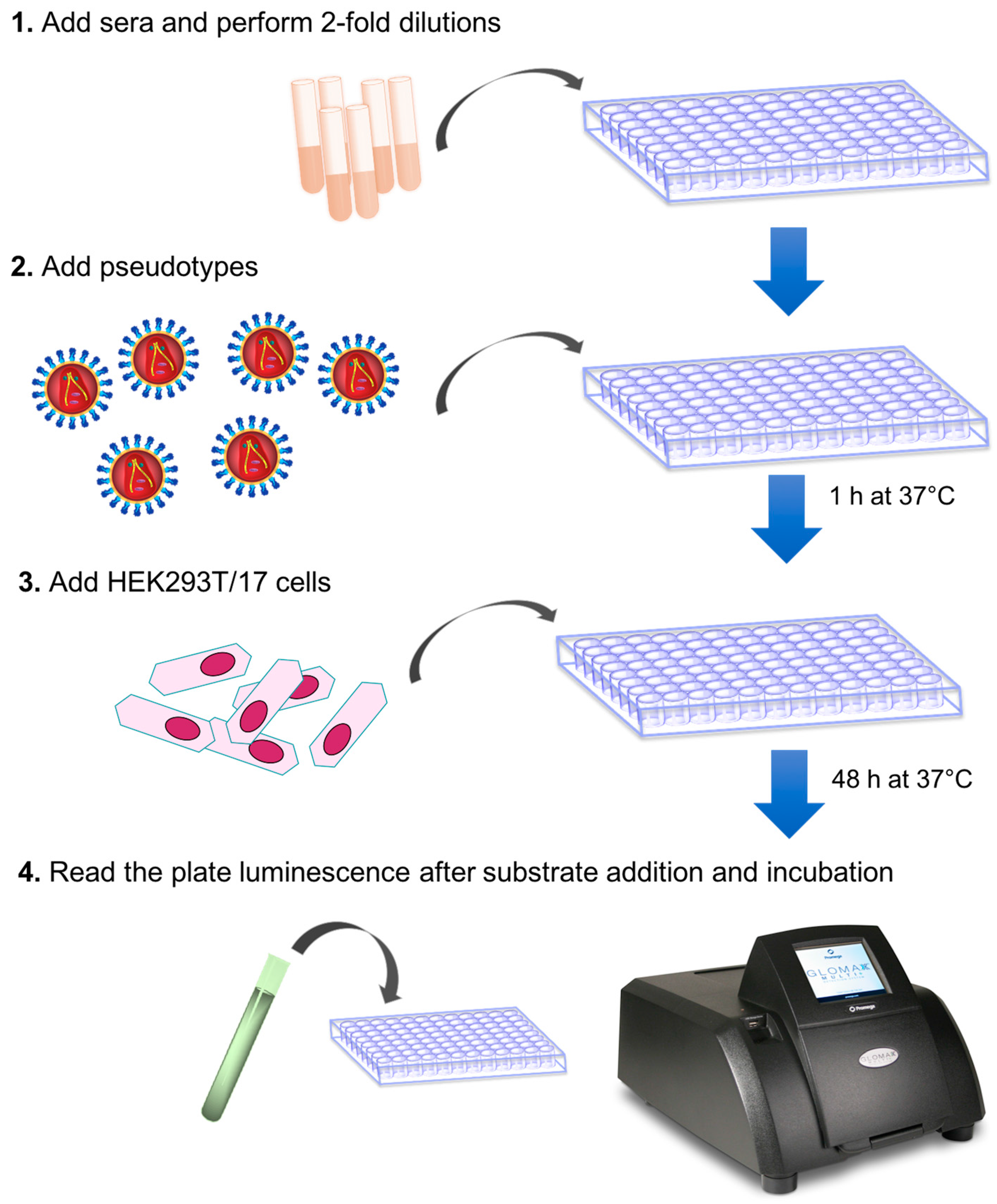 MPs Free FullText Pseudotype Neutralization Assays From