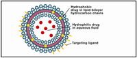 Nanomaterials 02 00217 g002 200