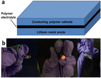 Nanomaterials 02 00268 g002 200