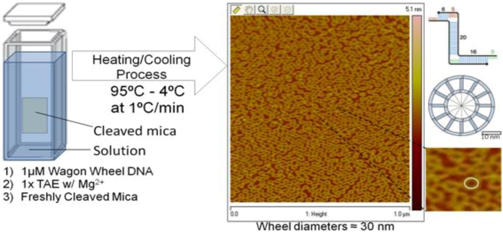Nanomaterials 02 00275 g001 1024