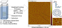 Nanomaterials 02 00275 g001 200