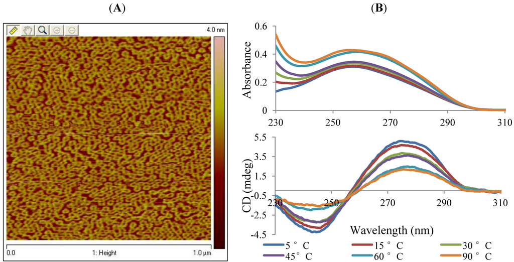 Nanomaterials 02 00275 g002 1024