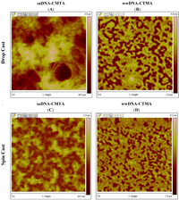 Nanomaterials 02 00275 g004 200