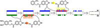 Nanomaterials 02 00312 g008 200