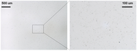 Nanomaterials 02 00329 g006 200