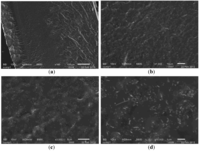 Nanomaterials 02 00329 g007 200