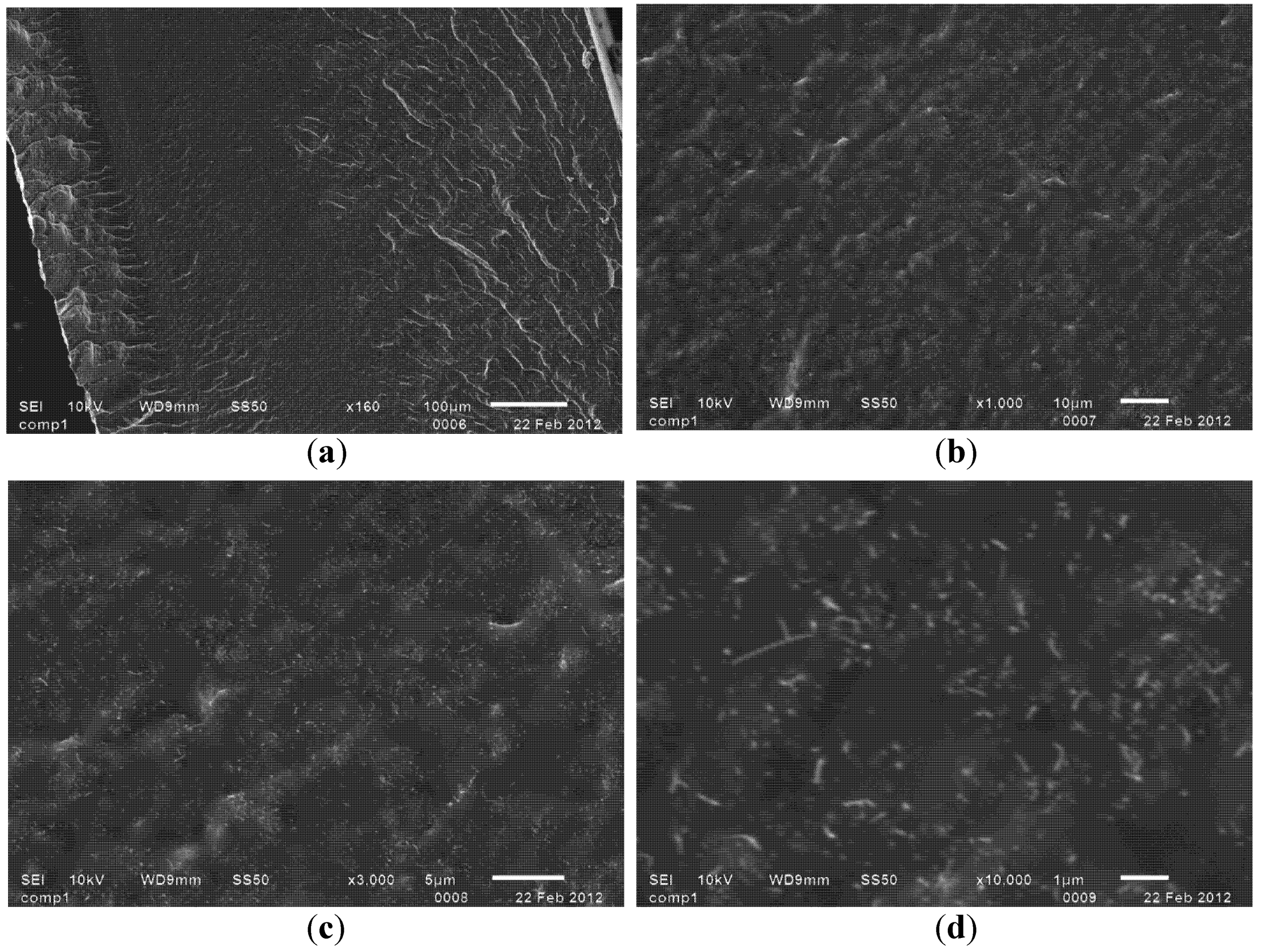 Nanomaterials 02 00329 g007