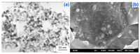 Nanomaterials 02 00379 g005 200