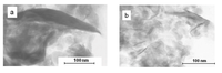 Nanomaterials 02 00413 g006 200