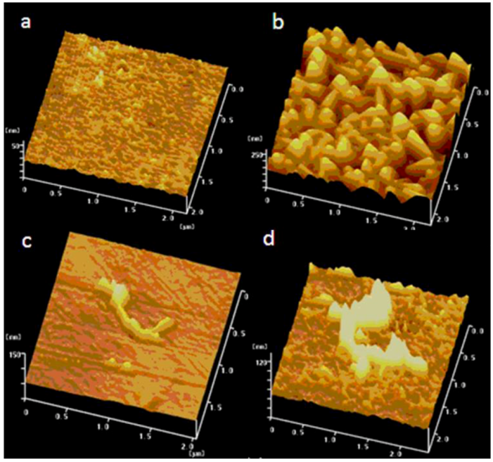 Nanomaterials 02 00428 g001 1024