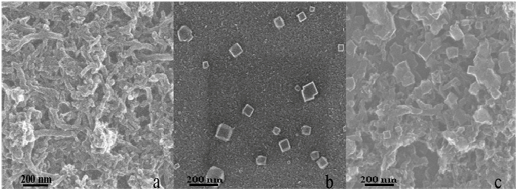 Nanomaterials 02 00428 g002 1024
