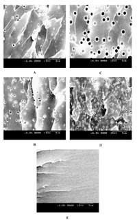 Nanomaterials 02 00445 g003 200