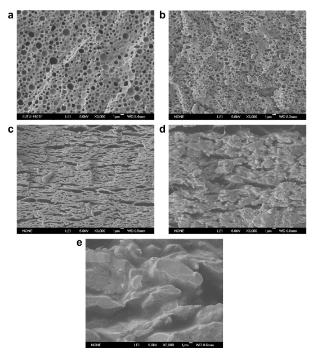 Nanomaterials 02 00445 g004 1024