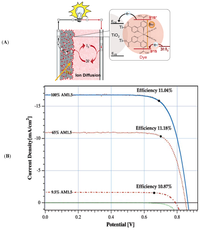 Nanomaterials 03 00022 g003 200