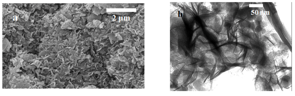 Nanomaterials 03 00048 g002 1024