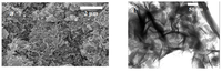 Nanomaterials 03 00048 g002 200