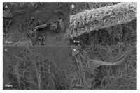 Nanomaterials 03 00070 g001 200