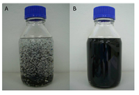 Nanomaterials 03 00070 g008 200