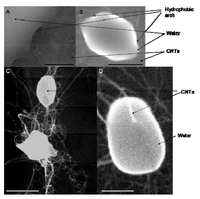 Nanomaterials 03 00070 g010 200