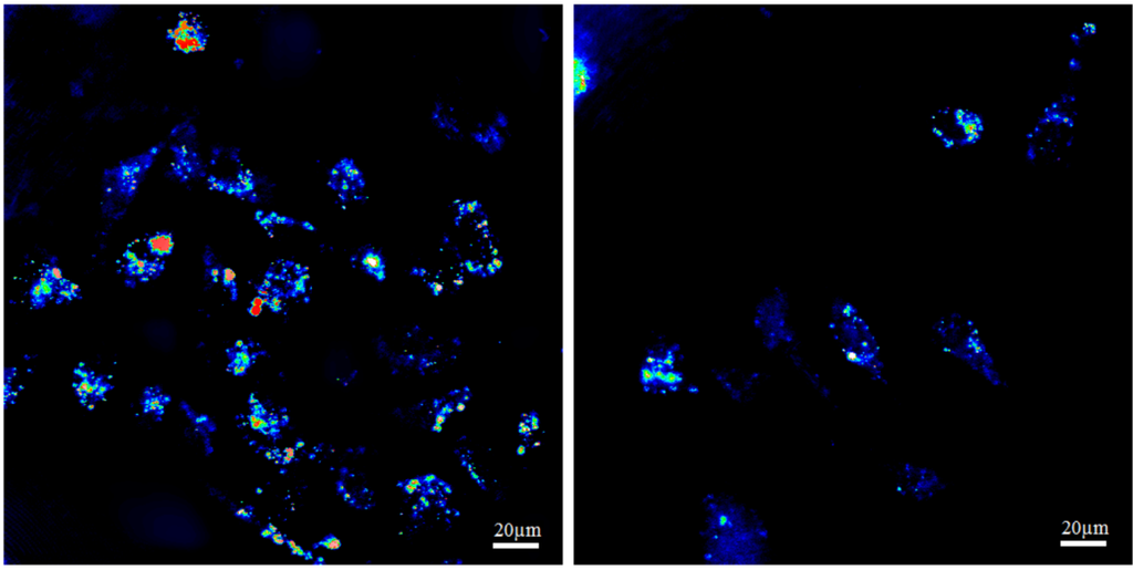Nanomaterials 03 00086 g007 1024