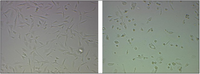 Nanomaterials 03 00086 g010 200
