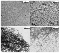 Nanomaterials 03 00126 g002 200