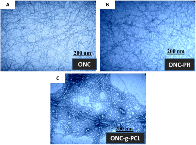 Nanomaterials 03 00141 g004 1024