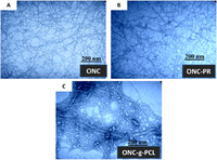 Nanomaterials 03 00141 g004 200
