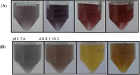 Nanomaterials 03 00158 g004 200