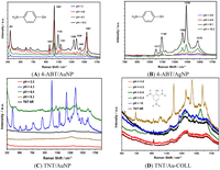 Nanomaterials 03 00158 g006 200