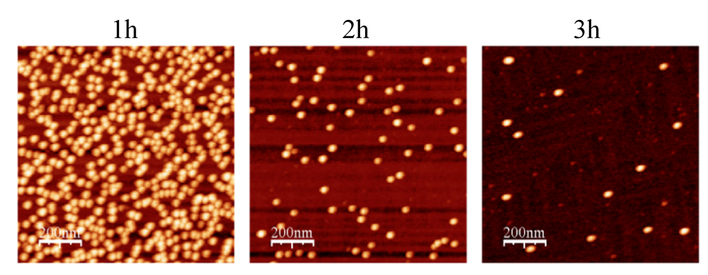 Nanomaterials 03 00192 g006 1024