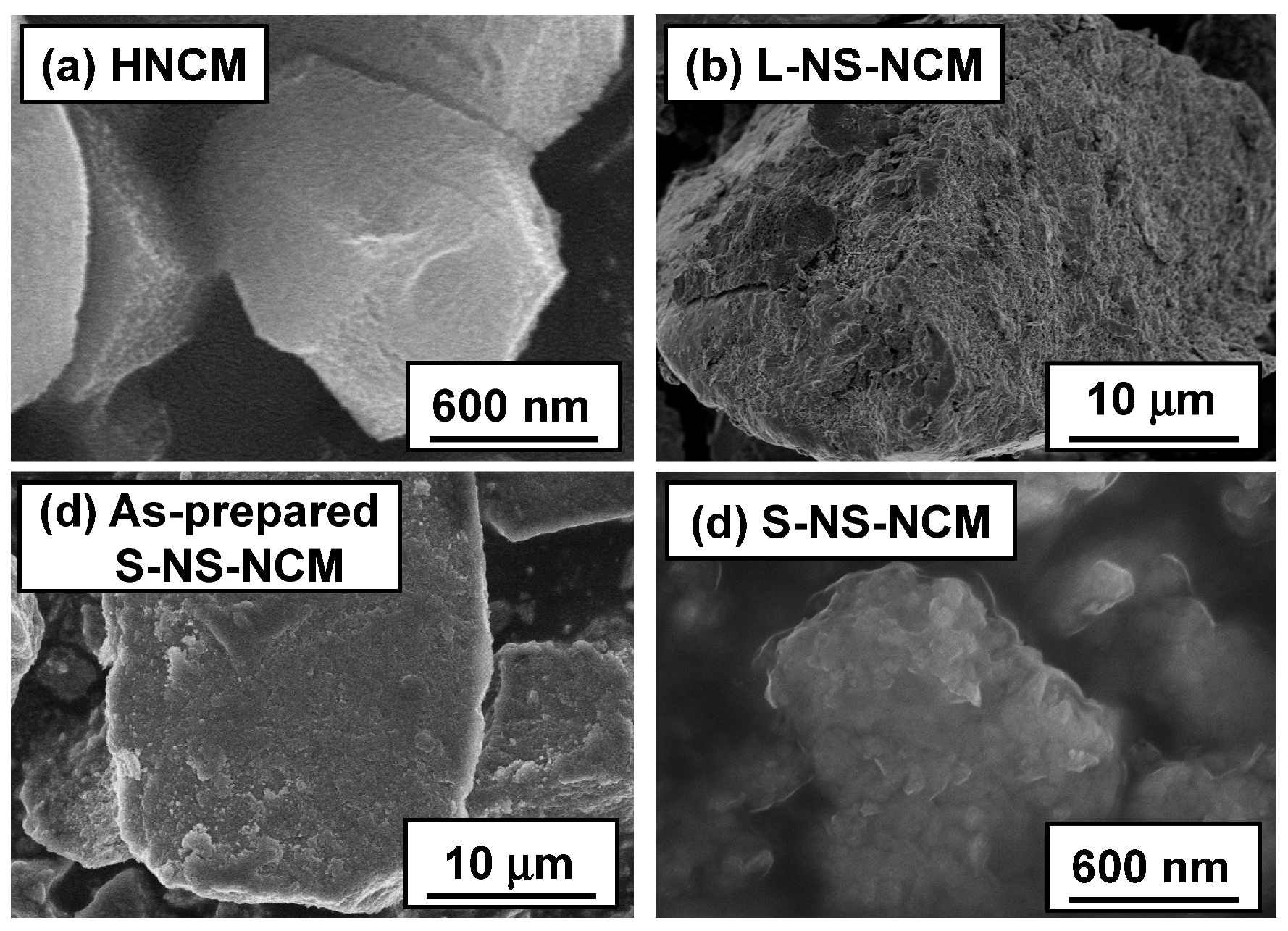 Nanomaterials 03 00204 g003