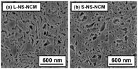 Nanomaterials 03 00204 g004 200