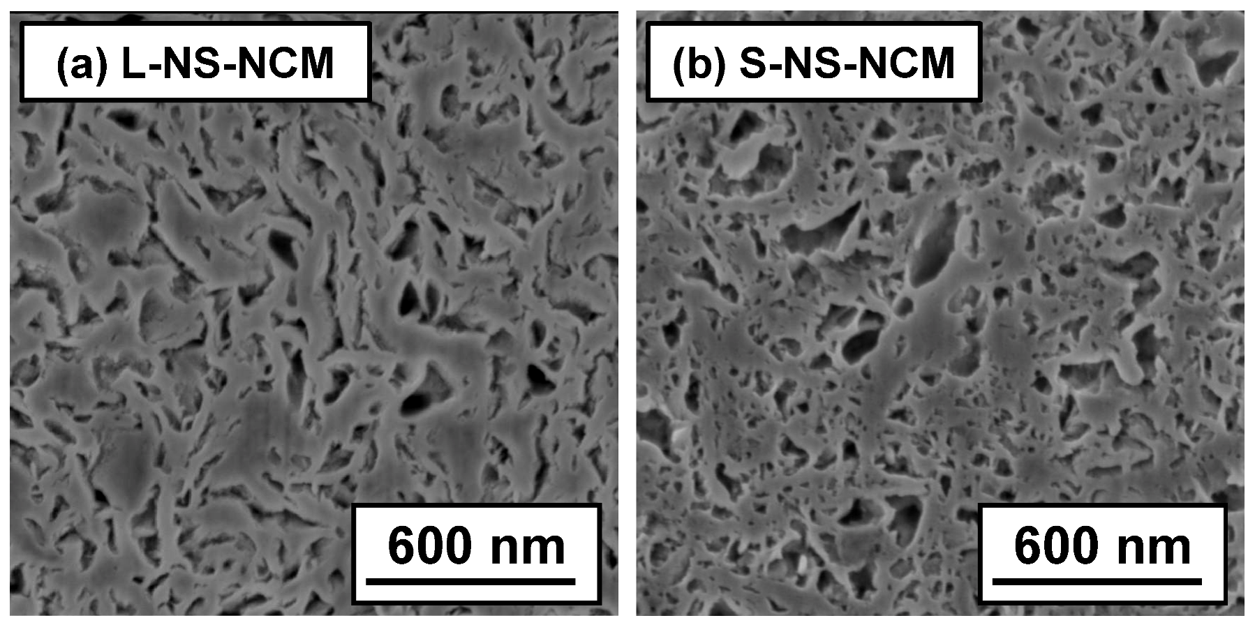 Nanomaterials 03 00204 g004