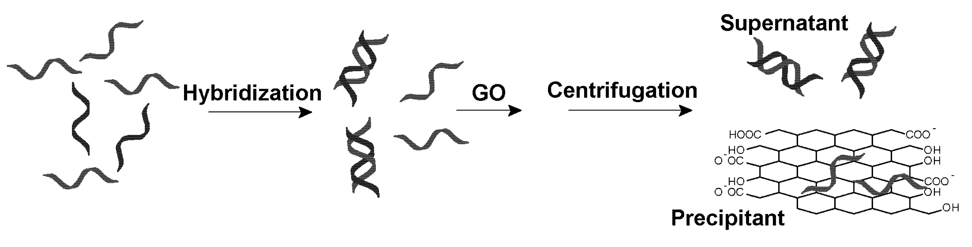 Nanomaterials 03 00221 g001