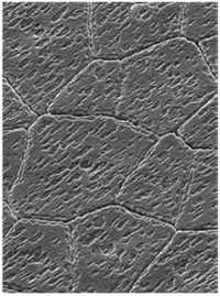 Nanomaterials 03 00242 g001 200