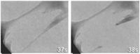 Nanomaterials 03 00242 g002 200