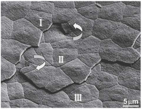 Nanomaterials 03 00242 g007 200