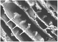 Nanomaterials 03 00242 g011 200