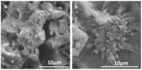 Nanomaterials 03 00242 g013 200