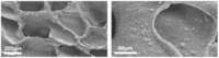 Nanomaterials 03 00242 g014 200