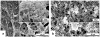 Nanomaterials 03 00242 g016 200