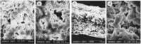 Nanomaterials 03 00242 g017 200