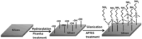 Nanomaterials 03 00272 g001 200