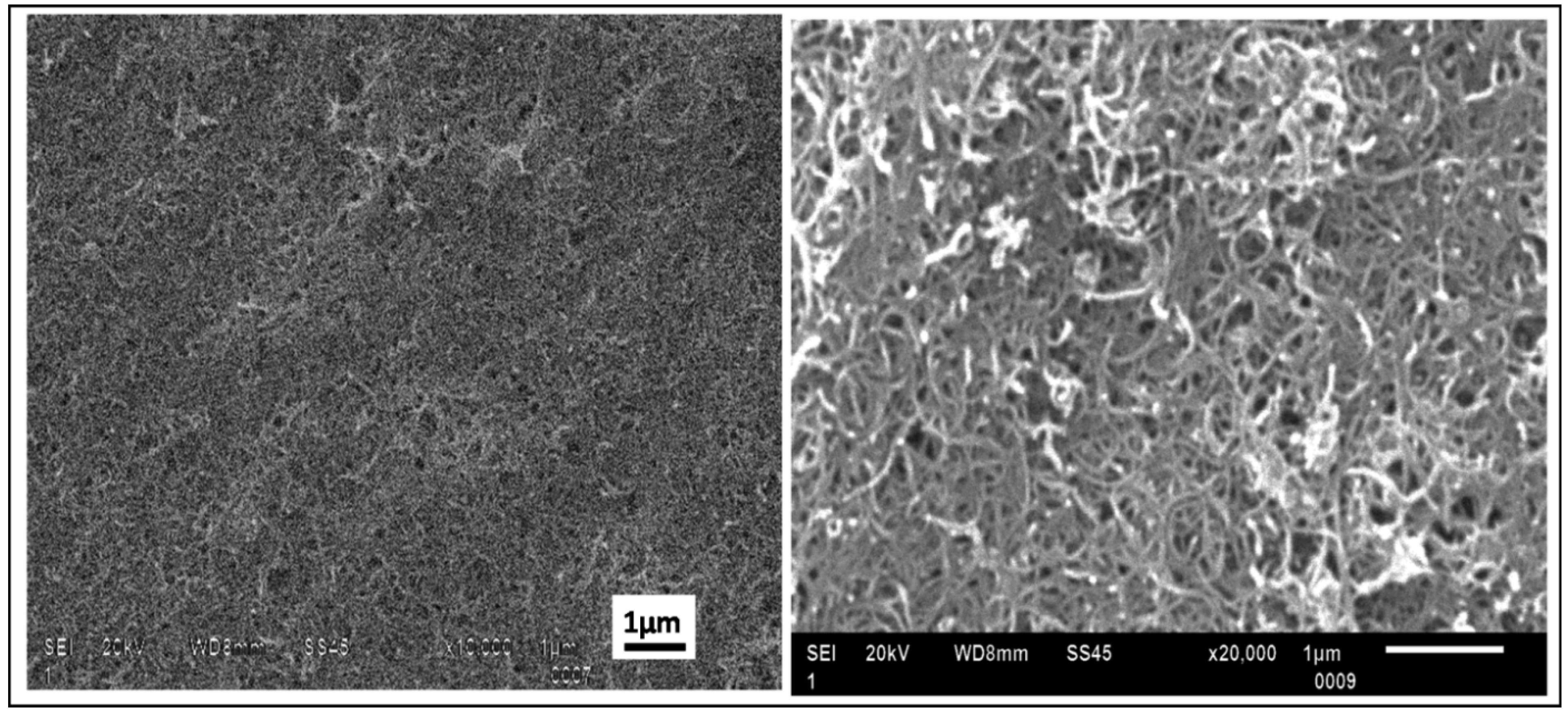 Nanomaterials 03 00272 g006