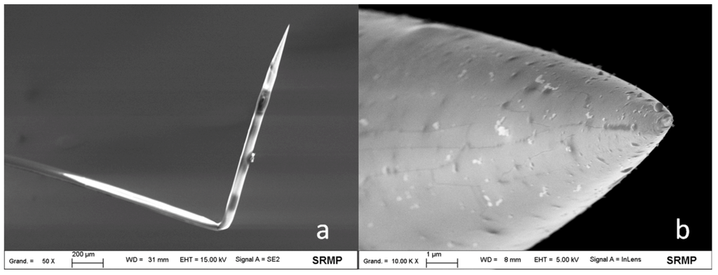 Nanomaterials 03 00303 g001 1024