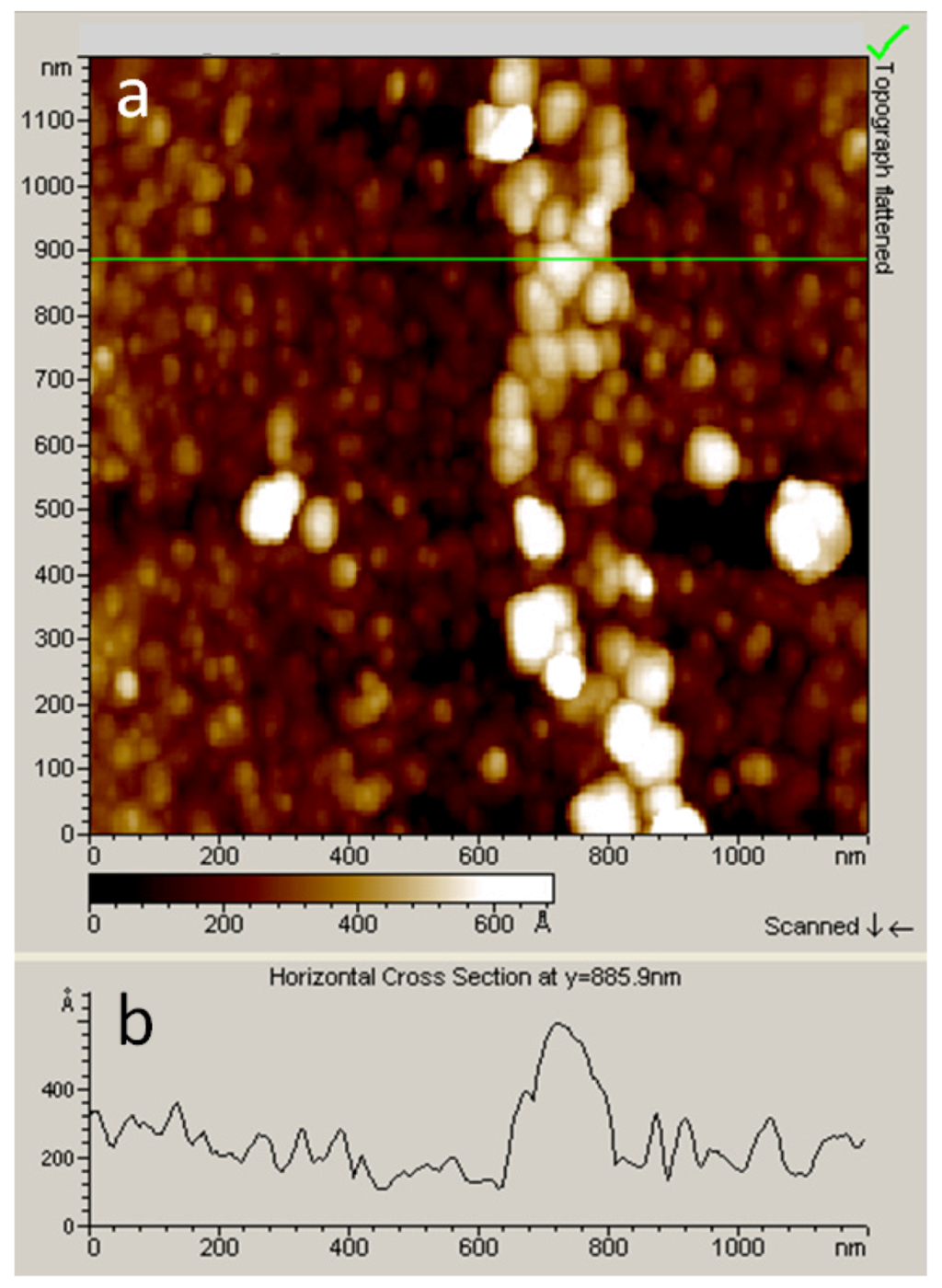 Nanomaterials 03 00303 g006 1024