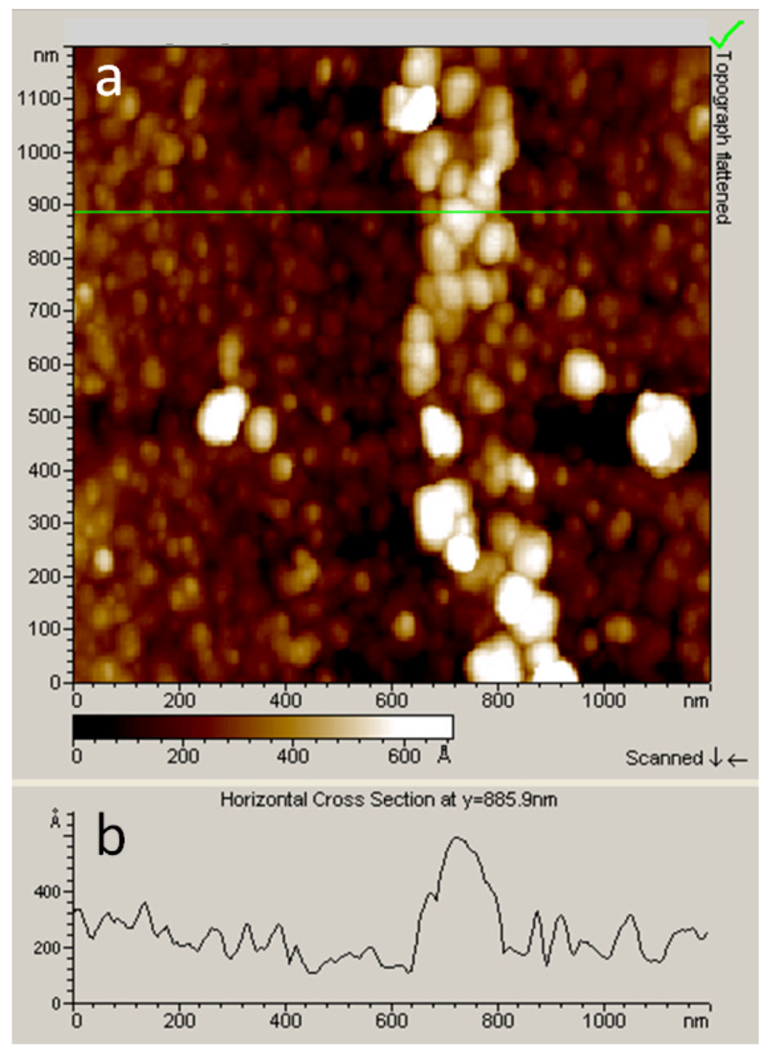 Nanomaterials 03 00303 g006
