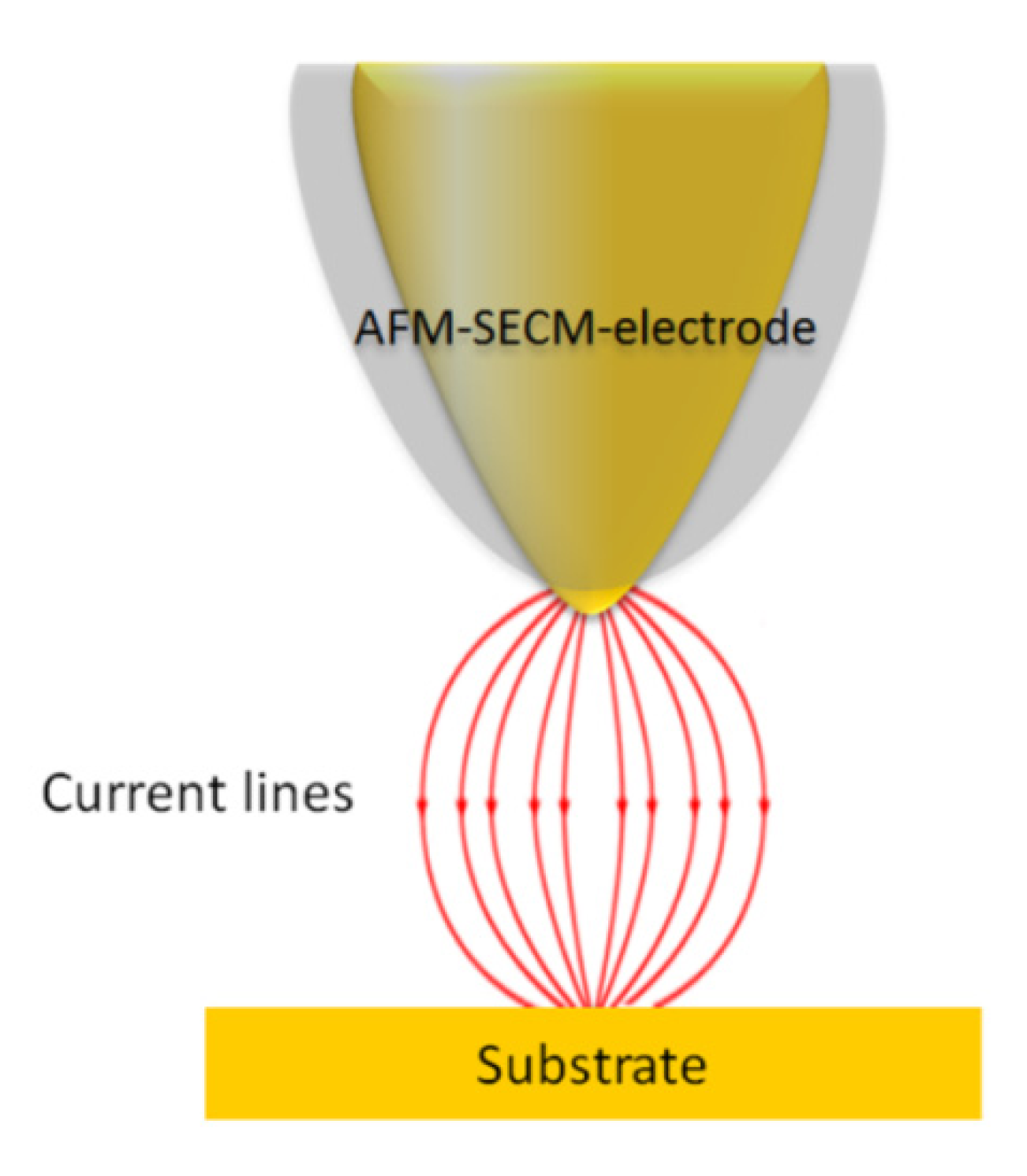 Nanomaterials 03 00303 g007